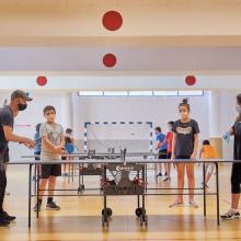 Les gymnases
